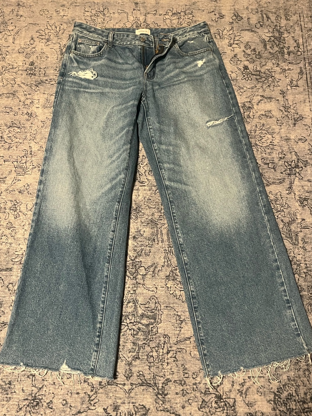 Pacsun Casey Low Rise Baggy Jeans